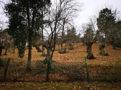 Agroturismo Valle Granado