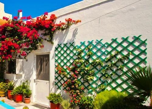 Hotel Villa Stella