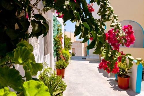 Hotel Villa Stella