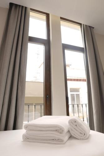 Apartamentos Mesones 3000