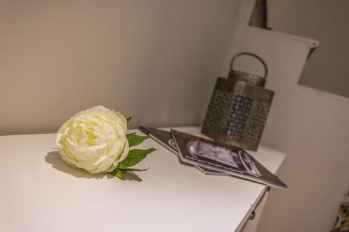 Apartamento Chapizhome