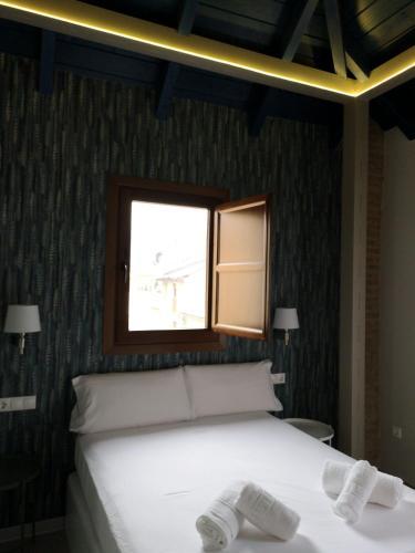 Apartamento Elvira 50
