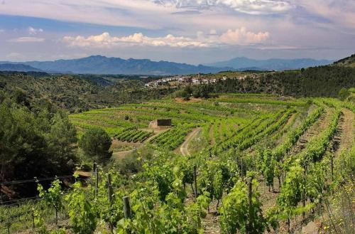 Bed & Breakfast Clos Figueras