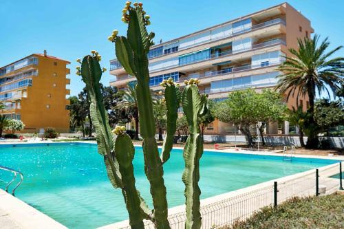 Apartamento Espanhouse Pinomar 5