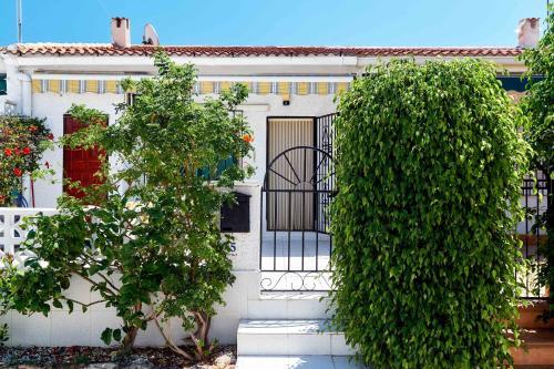 Apartamento Espanhouse Pinomar 5