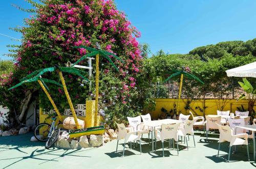 Apartamento Espanhouse Pinomar 5