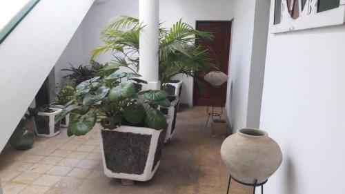 El Islote De Har�a