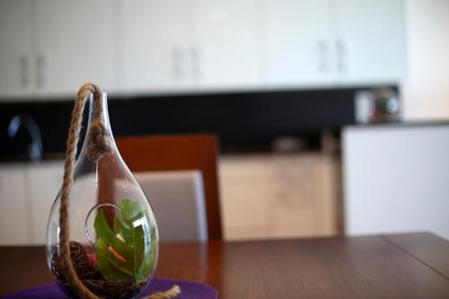 Apartamento Kobentu Txiki