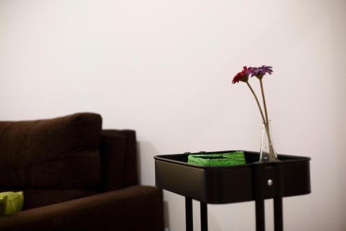Apartamento Tolosa