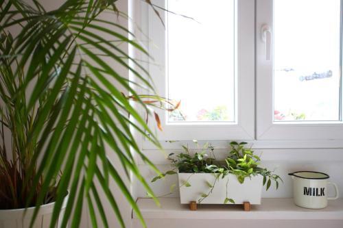 Apartamento Ladronenea
