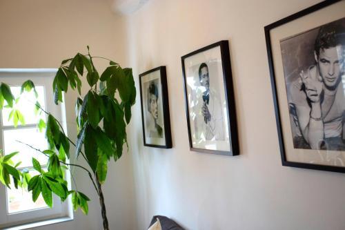 Apartamento Ladronenea