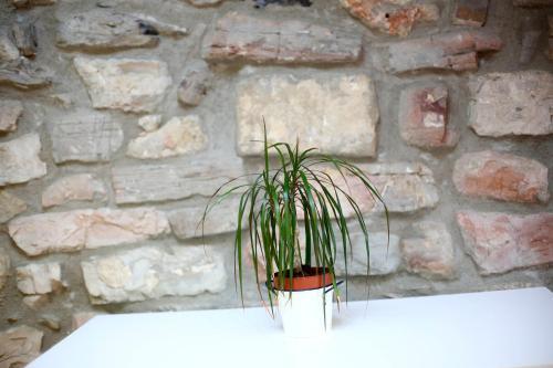 Apartamento Fermintxo