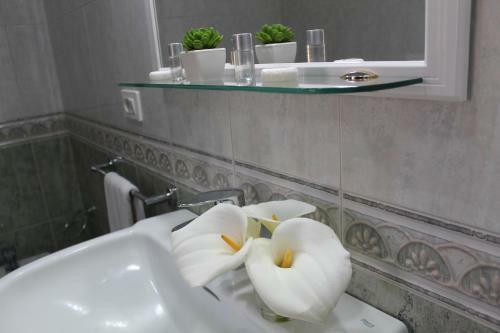 Tenerife North Apartments Teide