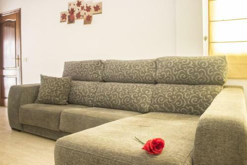 Gardenia Apartments