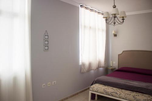 French Apartments