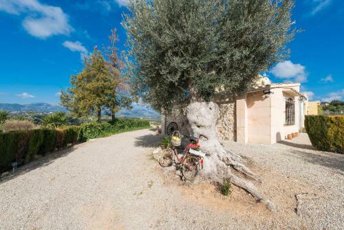 Villa Son Gual