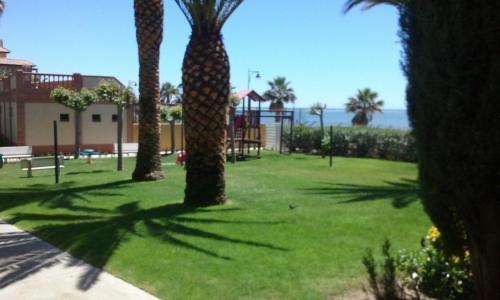 Apartamento Alcarav�n Playa