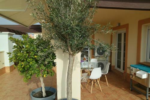 Apartamento Isla Canela Tours Marismas