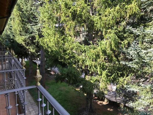Apartamento Balcon De Jaca I