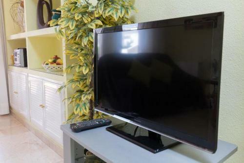 Apartment San Esteban