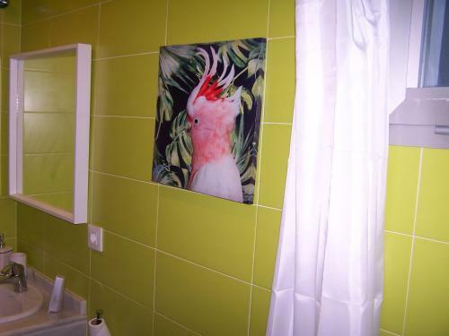 Apartamento Nuevo En Centro Hist�rico