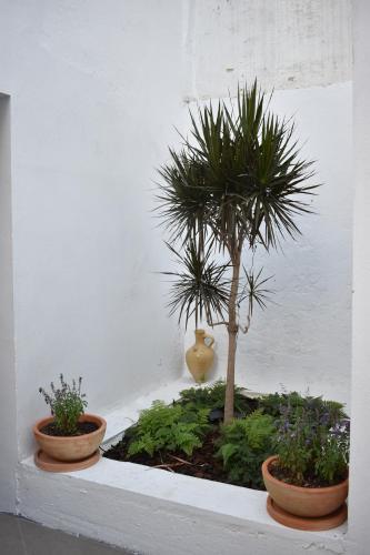 Home Apartments Jerez