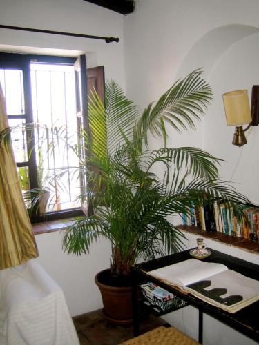 Apartamento La Guarida Secreta