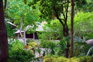 Hotel Baan Hin Sai Resort