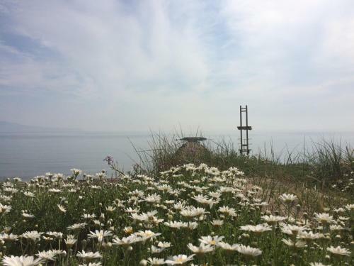 Apartaments Ne�polis