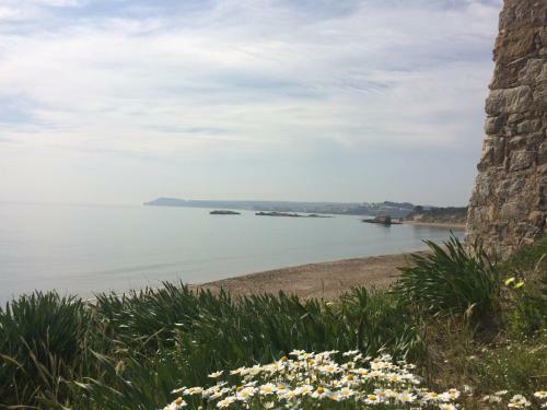 Apartaments Ne�polis