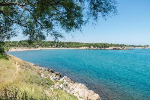Apartament Brigitte