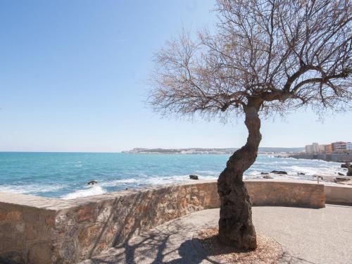 Apartamento Albatros 5