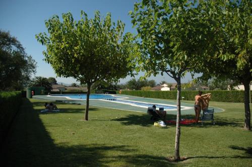 Palmeres 39