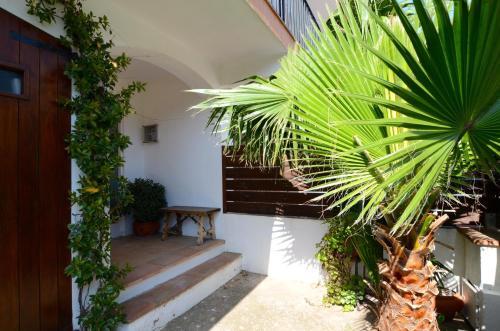 Mallorca 7