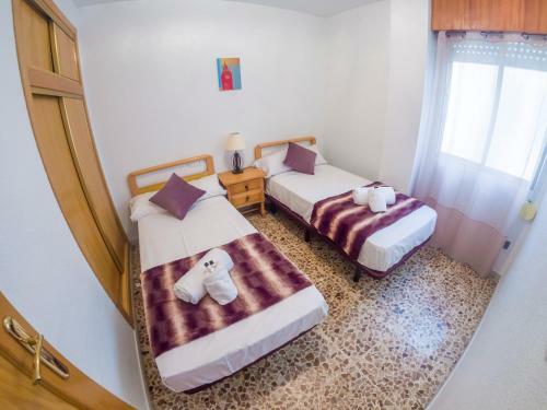 Homely Apartaments La Mata Centro