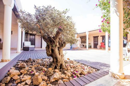 Hostal Villa Olimpia