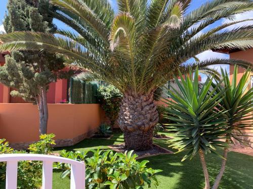 Villa Paola Corralejo
