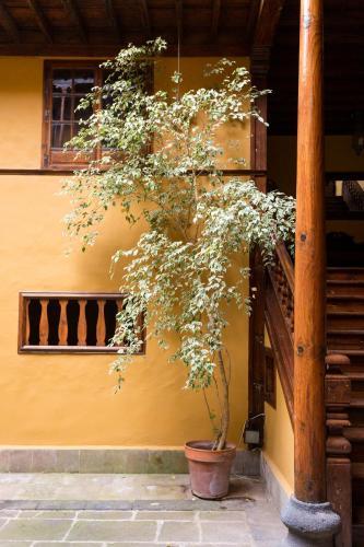 Live Orotava House