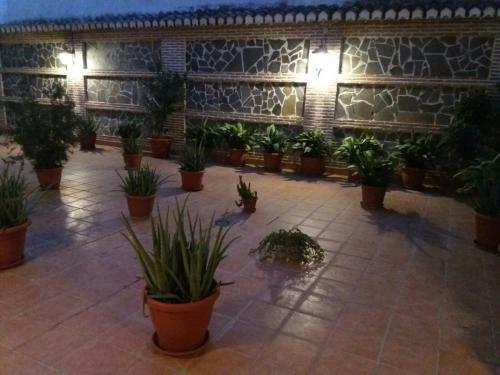 Apartamento Piso Al-zawiya Centro
