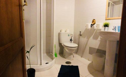 City Apartment