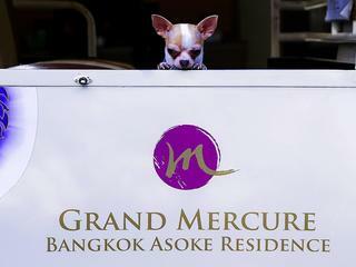 Hotel Grand Mercure Bangkok Asoke Residence