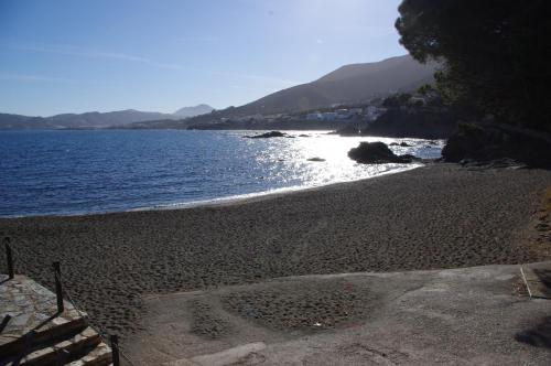 Apartaments Falc�