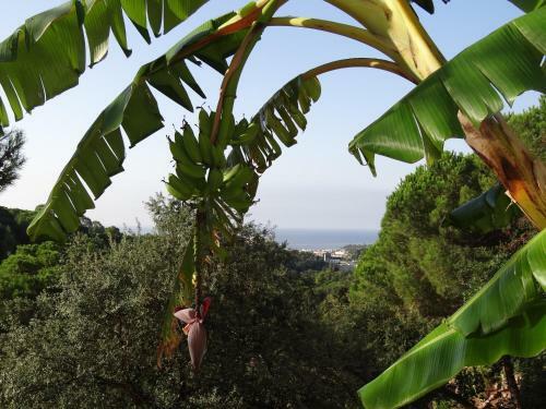 Holiday Home Lloret De Mar Costa Brava