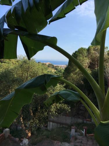 Holiday Home Lloret De Mar Costa Brava