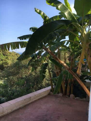 Holiday Home Lloret De Mar Costa Brava