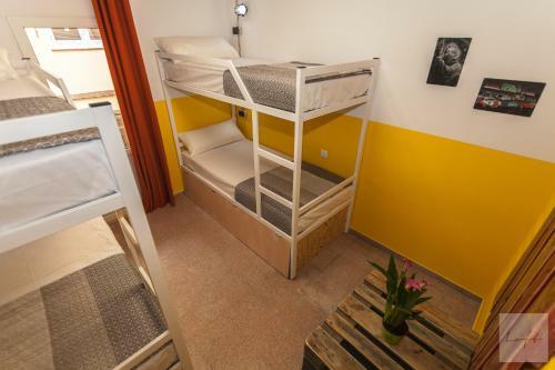Albergue Loft Hostal
