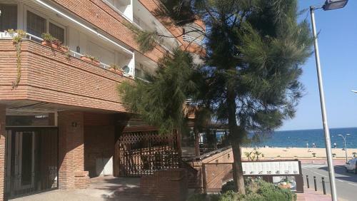 Apartamento Carabela
