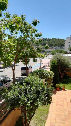 Apartamento Petit Lavanda