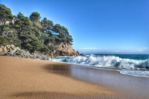 Apartment Valera Lloretholiday A003