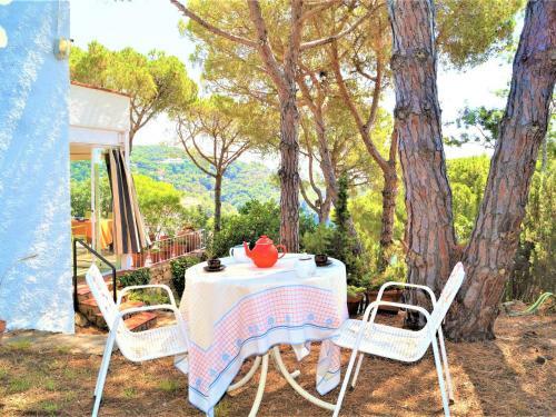 Villa Cirici